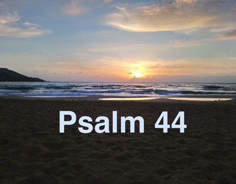 Spotkanie Betanii – 13 lutego 2019